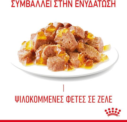 Royal Canin Urinary Wet Food for Adult Cats in Pouches with Poultry and Rice 85gr