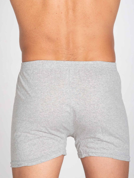 Jokers 2 Men's Boxer Gray