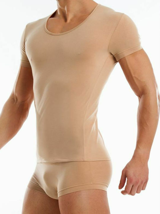 Modus Vivendi Modus Vivendi