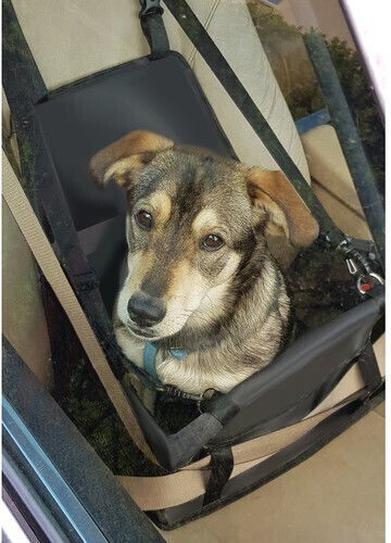 Purlov Waterproof Seat Car for Dog Black