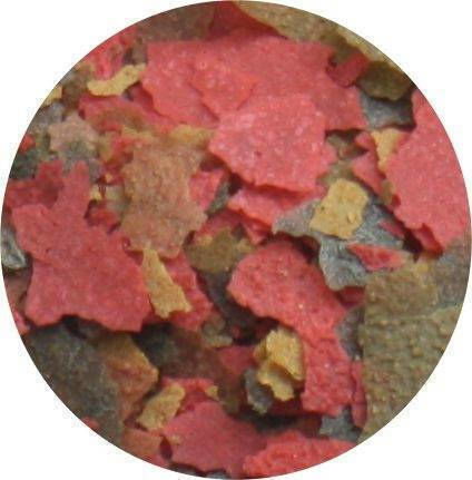 HS Aqua Tropical Fish Food Flakes with Spirulina 100ml