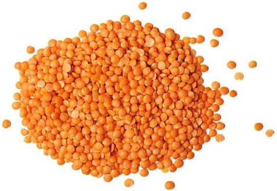 MPACHARADIKO Lentils 1000gr