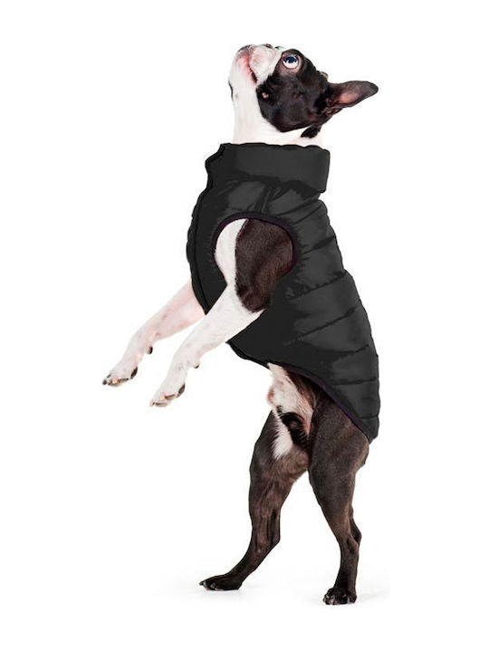 WauDog Hundemantel Wasserdicht Schwarz mit Rückenlänge 25 cm.