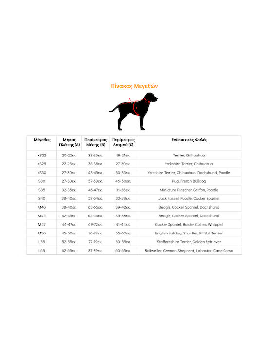 WauDog Justice League Blue Waterproof Dog Coat with 25cm Back Length