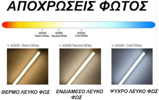 Eurolamp Ταινία LED 12V Θερμό Λευκό Φως 5m Τύπου SMD2835