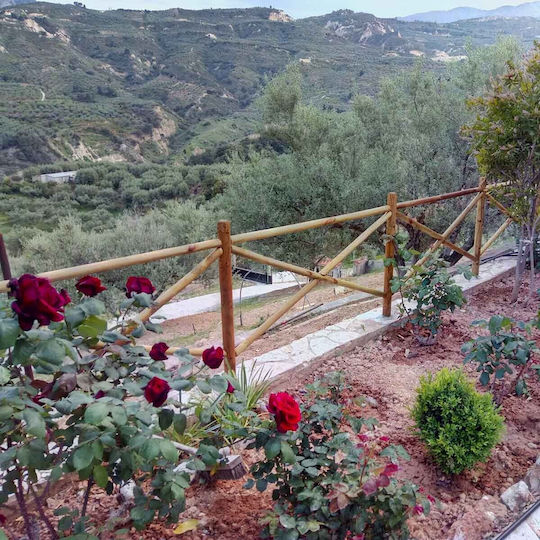 Showood Πάσσαλος για Περίφραξη Κήπου με Μύτη από Ξύλο 120x6x6εκ.