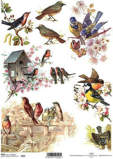 Next Birds Tissue paper Decoupage