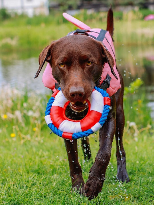 Nobby Dog Life Jacket Vest Waterproof Pink 25x25cmx25cmcm