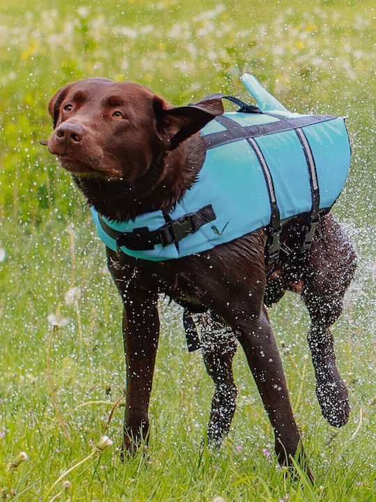 Nobby Dog Life Jacket Waterproof Light Blue 45x45CMx45CMcm
