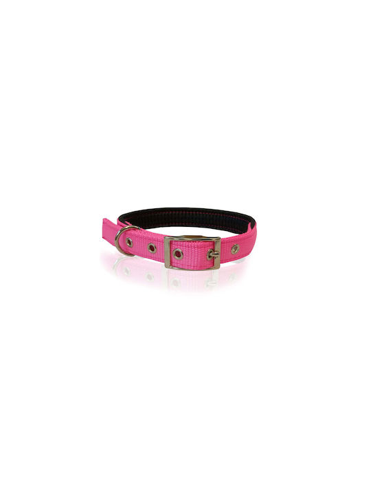 Pet Interest Neoprene Standard Κολάρο Σκύλου Hot Ροζ XLarge 25mm x 55cm