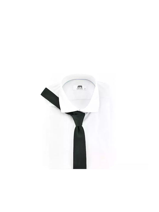 Stefano Mario Men's Tie Monochrome Green