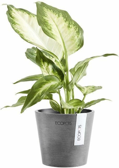 Ecopots Amsterdam Mini Саксия Пластмаса 10.5x10.5x9.2см.