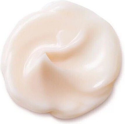 Shiseido Bio-Performance Advanced Rich 24h Cream Face 50ml