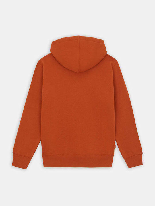 Summerdale Sweatshirt with Hood Brown