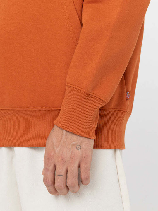 Summerdale Sweatshirt with Hood Brown