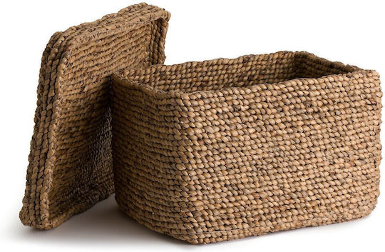 La Redoute Interieurs Trunchi decorativ Lemn Bej 51x41x31buc