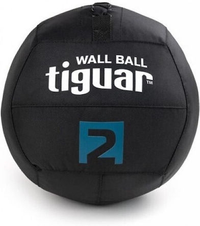 Tiguar Ball Medicine 30cm , 2kg in Black Color