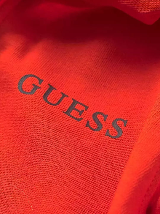 Guess Guess