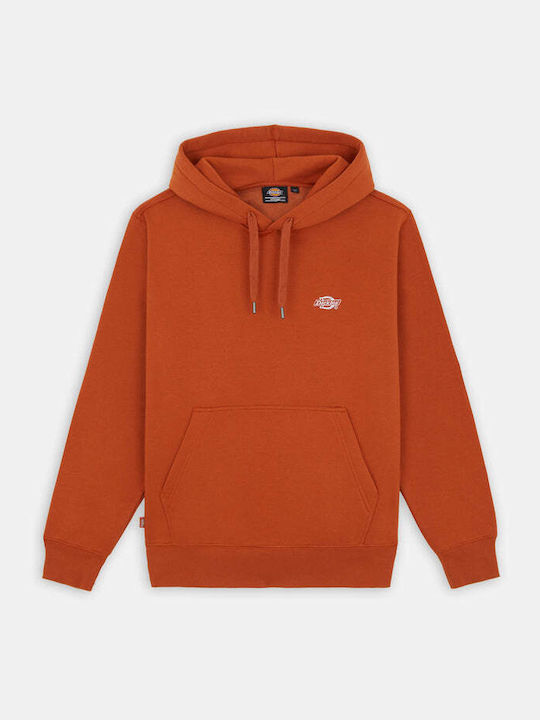 Summerdale Sweatshirt with Hood Brown