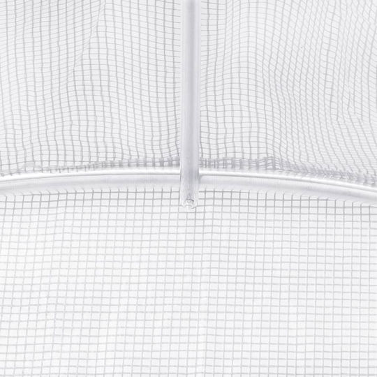 vidaXL 364075 Greenhouse Tunnel with Metal Frame 2x2x2m
