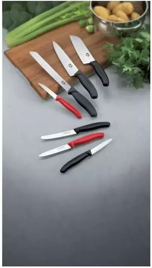 Victorinox Swiss Classic Нож Пилинг от Неръждаема Стомана 6см