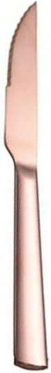 Dinox Porto Μαχαίρι Steak από Ανοξείδωτο Ατσάλι Cooper 21.5cm