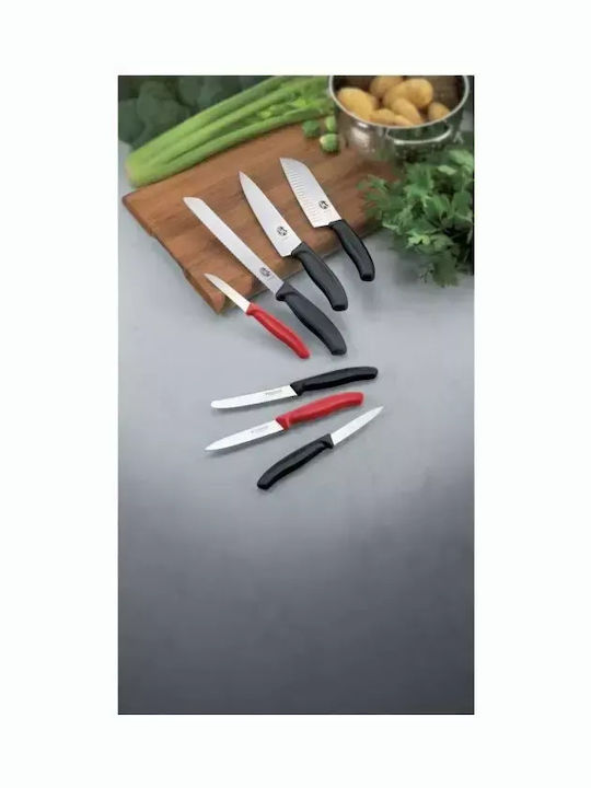 Victorinox Swiss Classic Knife General Use from Stainless Steel 8cm