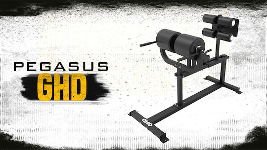 Pegasus GHD Einstellbar Workout-Bank Dorsal