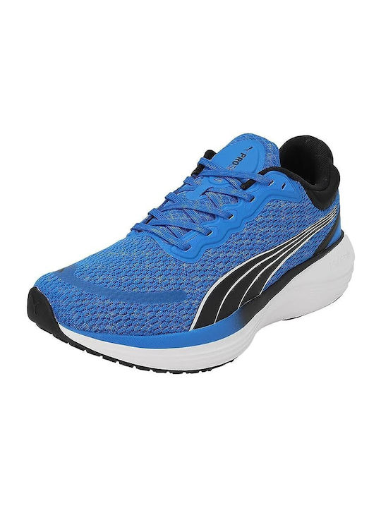 Scend Pro Sport Shoes Running Blue