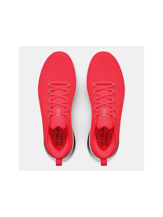 Velociti 3 Sport Shoes Running Red