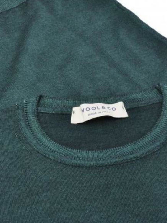 Wool & Co