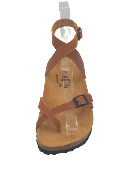 Bankog Leather Women's Flat Sandals Anatomic with Strap Apure Roble