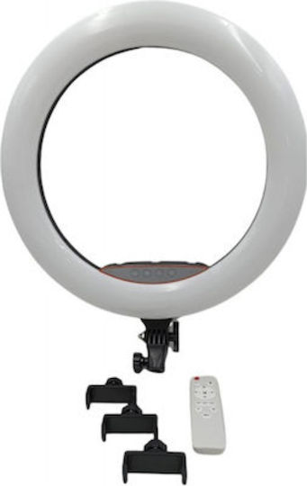 Ring Light 56cm με Βάση για Κινητό