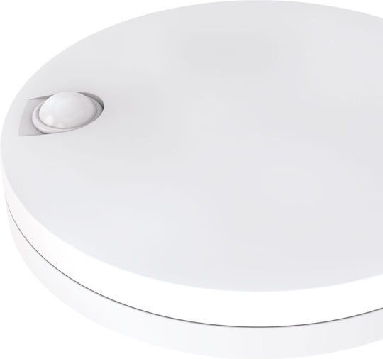 Modee Lighting Deckenleuchte 30cm LED Modee Lighting Deckenleuchte 30cm LED