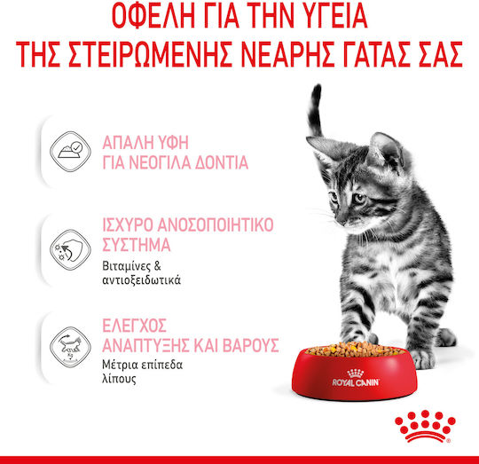 Royal Canin Sterilised Kitten Wet Food for Young Cats in Pouches 85gr