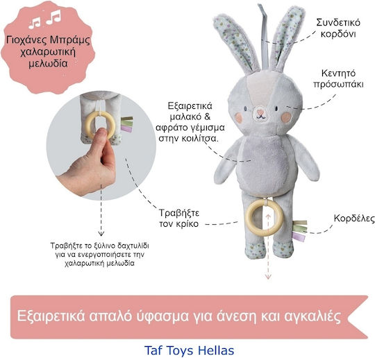 Taf Toys Κρεμαστό Παιχνίδι Καροτσιού με Μουσική