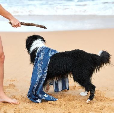 Dock & Bay Handtuch zur Körperreinigung Hund Blau 90x50cm