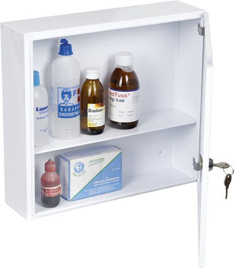 Viometal 505 Metallic Wall-Mounted First Aid Kit with Lock Nickel
