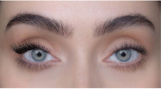 Sweed Tete A Tete Brown False Eyelashes