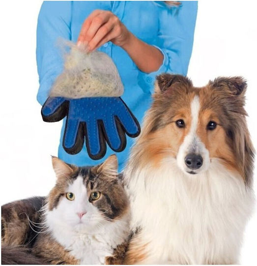 Glove Dogs for Coat Cleaning