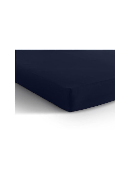 DreamHouse Cearșaf Super dublu cu Elastic 160x200+30cm. Albastru