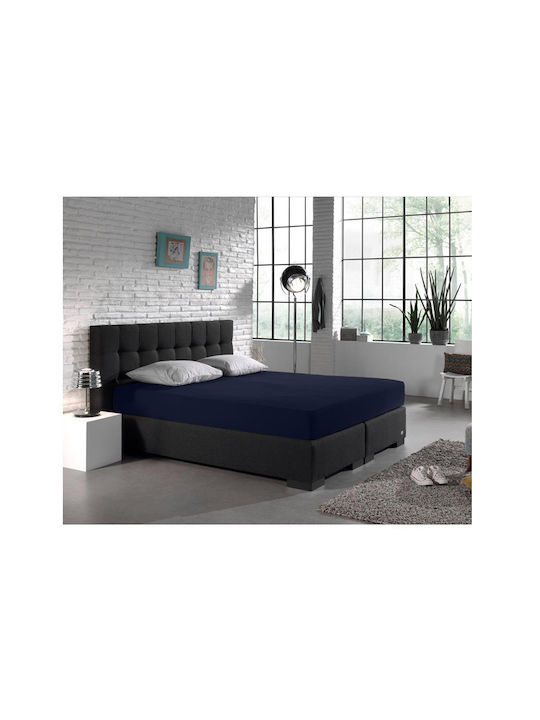DreamHouse Cearșaf Super dublu cu Elastic 160x200+30cm. Albastru
