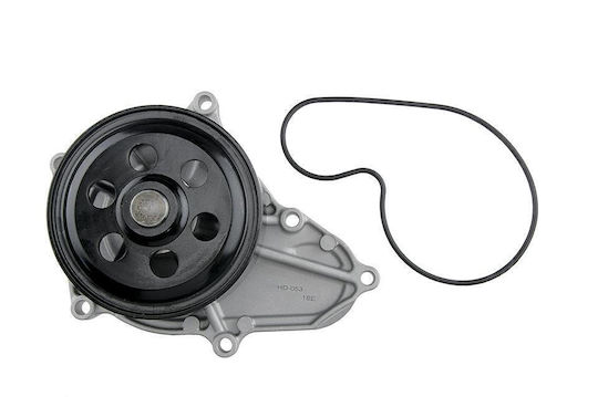 NTY Auto-Wasserpumpe für Honda Übereinstimmung / Civic / CR-V (Compact Recreational Vehicle)