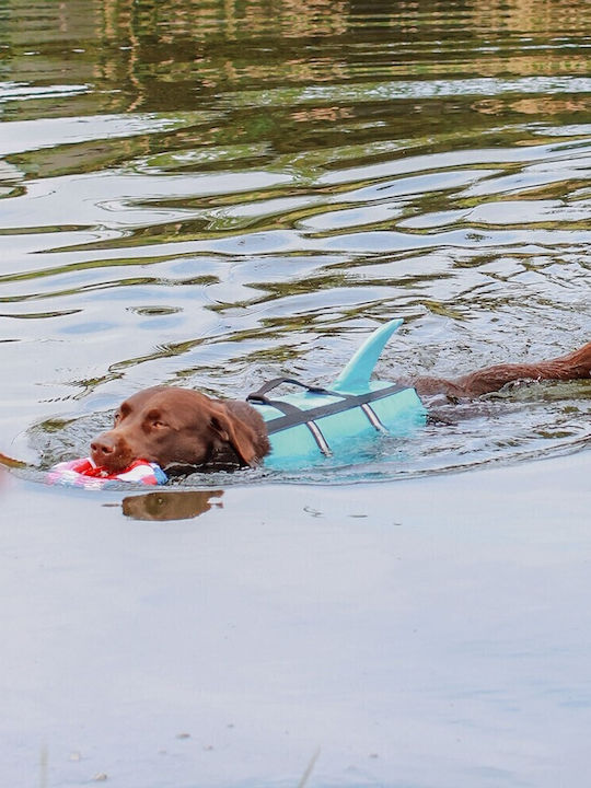Nobby Shark Dog Life Jacket Waterproof Small Light Blue 30cm