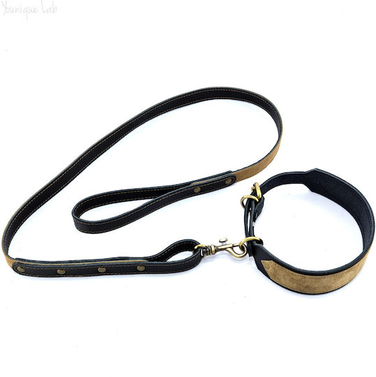 Younique Lab Dog Leash/Lead Leather MEDIUM in Black color 3cm