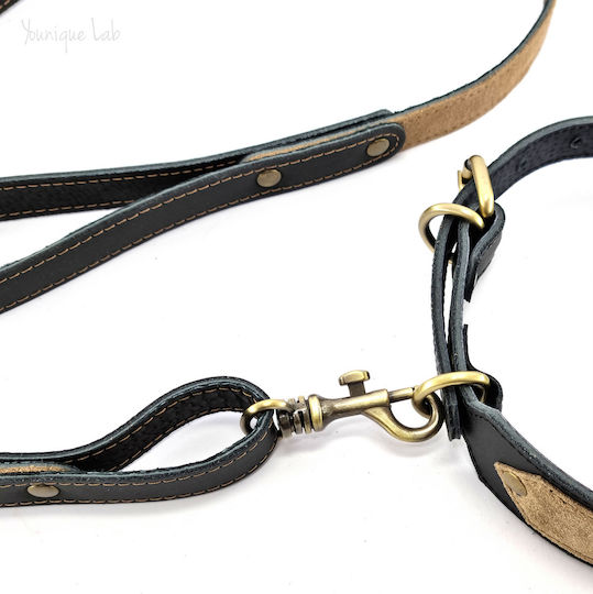 Younique Lab Dog Leash/Lead Leather MEDIUM in Black color 3cm