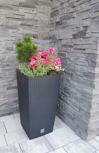 Prosperplast DRTS170 Κασπώ Rattan Γκρι