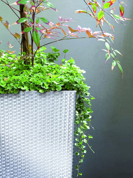 Prosperplast DRTS170 Κασπώ Rattan Γκρι με Βάση 17x17x32.5εκ.