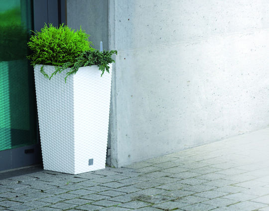 Prosperplast DRTS300 Ghiveci Rattan Gri cu suport 29x29x55εκ.