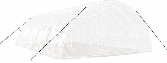 vidaXL 3188119 Gewächshaus Typ Haus mit Metallrahmen 10x6x2.85m